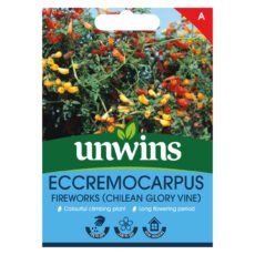 5051618035064 1 Eccremocarpus Fireworks Seeds.jpg